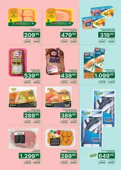 Univerexport katalog - pregled Univerexport kataloga - važi od 03.08.2026 | Strana: 3