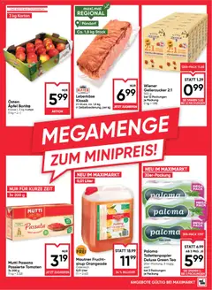 Maximarkt Flugblatt ab 30.04.2026 gültig | Seite: 13
