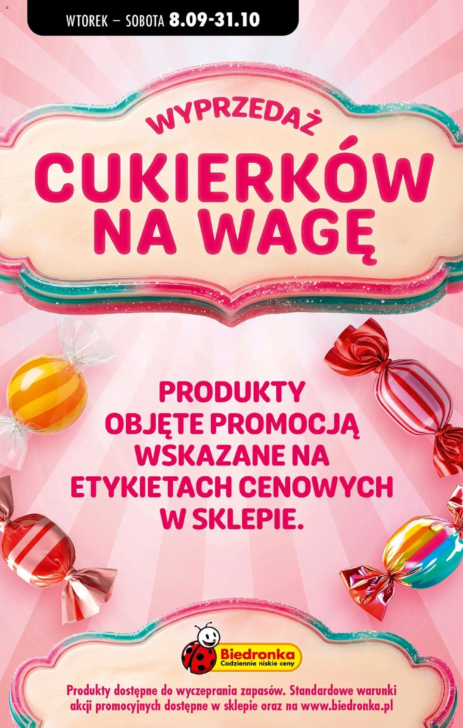 Biedronka Polsko leták - Codziennie niskie ceny od 10.09.2026 | Strana: 13