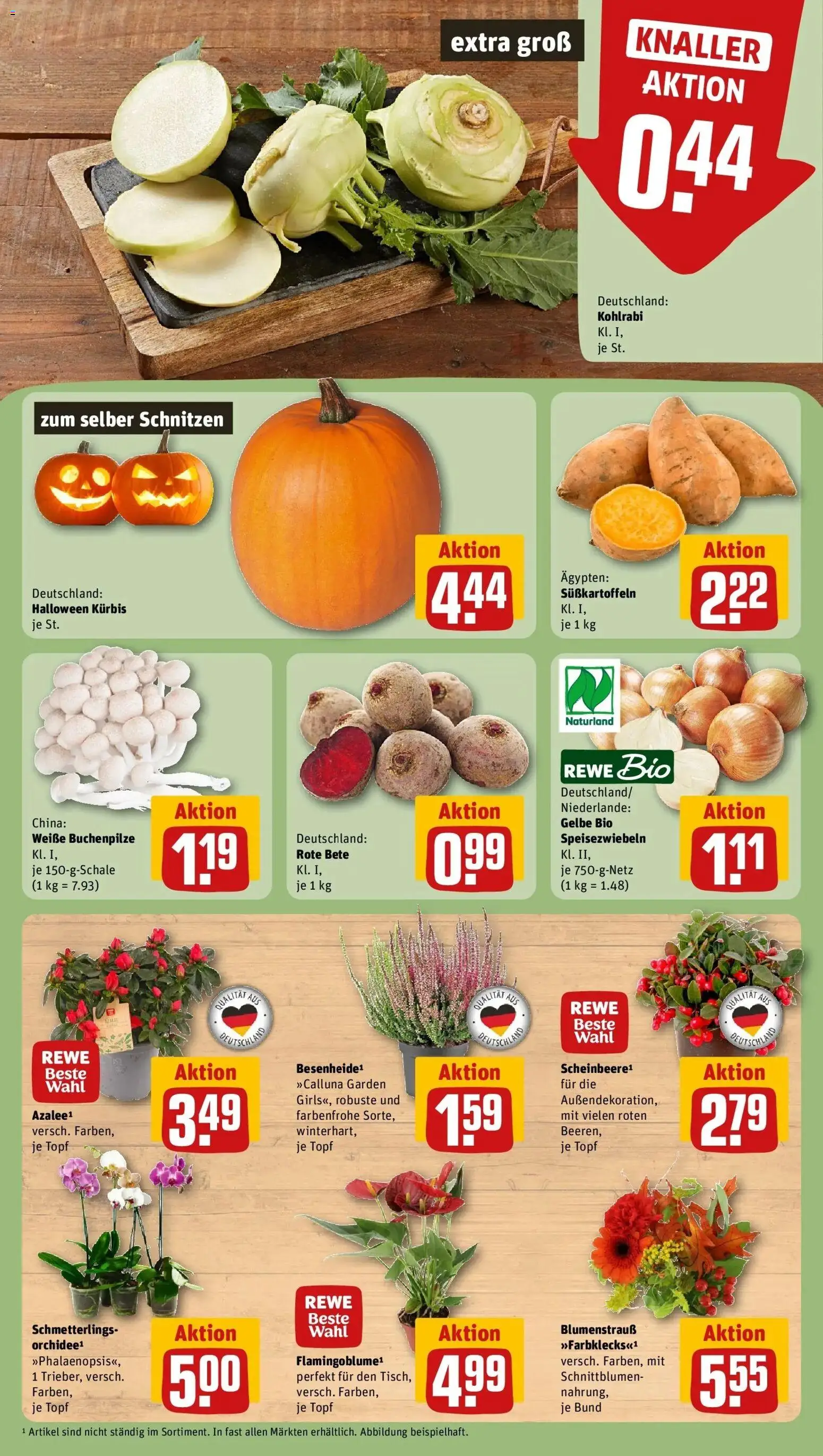 REWE Prospekt ab 12.10.2026 zum Blättern » Angebote | Seite: 5 | Produkte: Kohlrabi, Kürbis