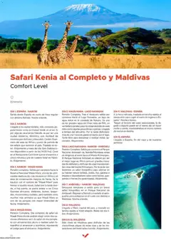Vista previa Halcón Viajes Comfort level 2026 válido desde el 04/06/2026 | Página: 10
