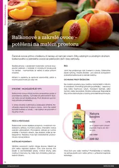 Náhled letáku Starkl katalog od 25.02.2026 | Strana: 14 | Produkty: Voda, Olej, Jahody, Rostliny