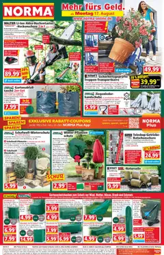 Norma Prospekt ab 17.08.2026 gültig