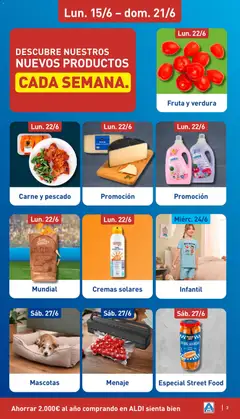 Vista previa Carne y pescado, Carne de cerdo empanada con ensalada válido desde el 22/06/2026 | Página: 3