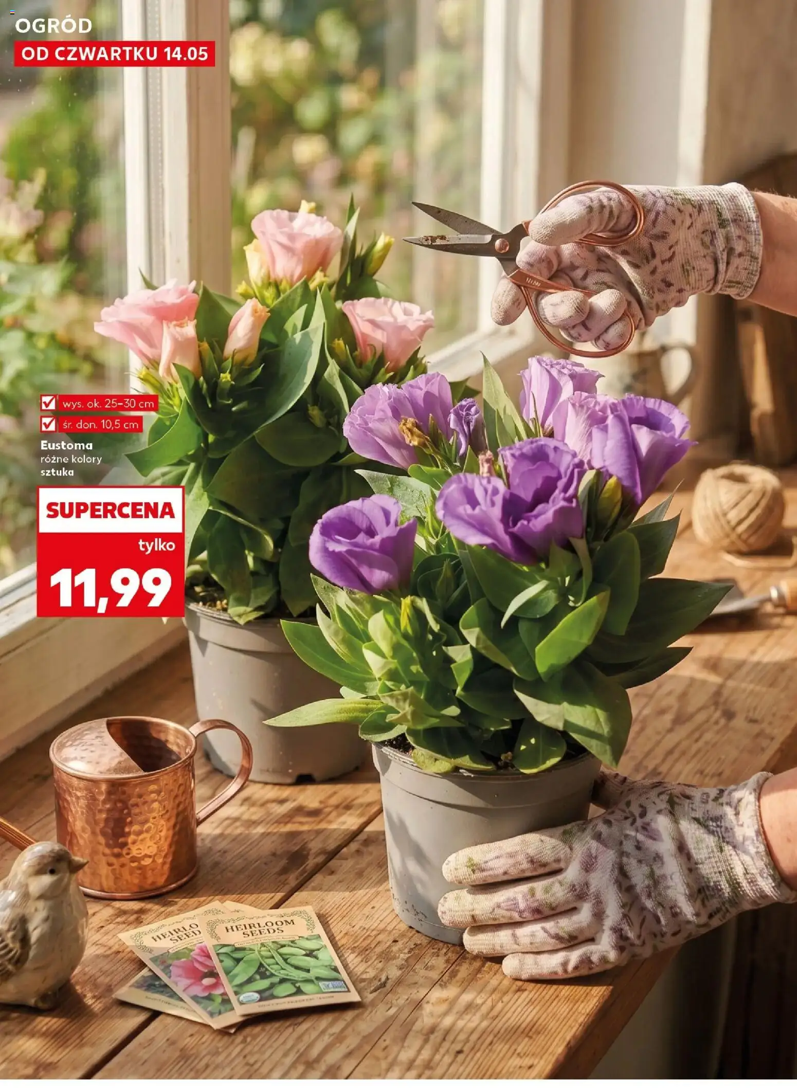 Kaufland gazetka - Ogród od 14.05.2026 | Strona: 10