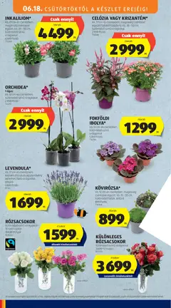 Aldi akciós újság - amely érvényes a következő dátumtól: 18.06.2026 | Oldal: 34