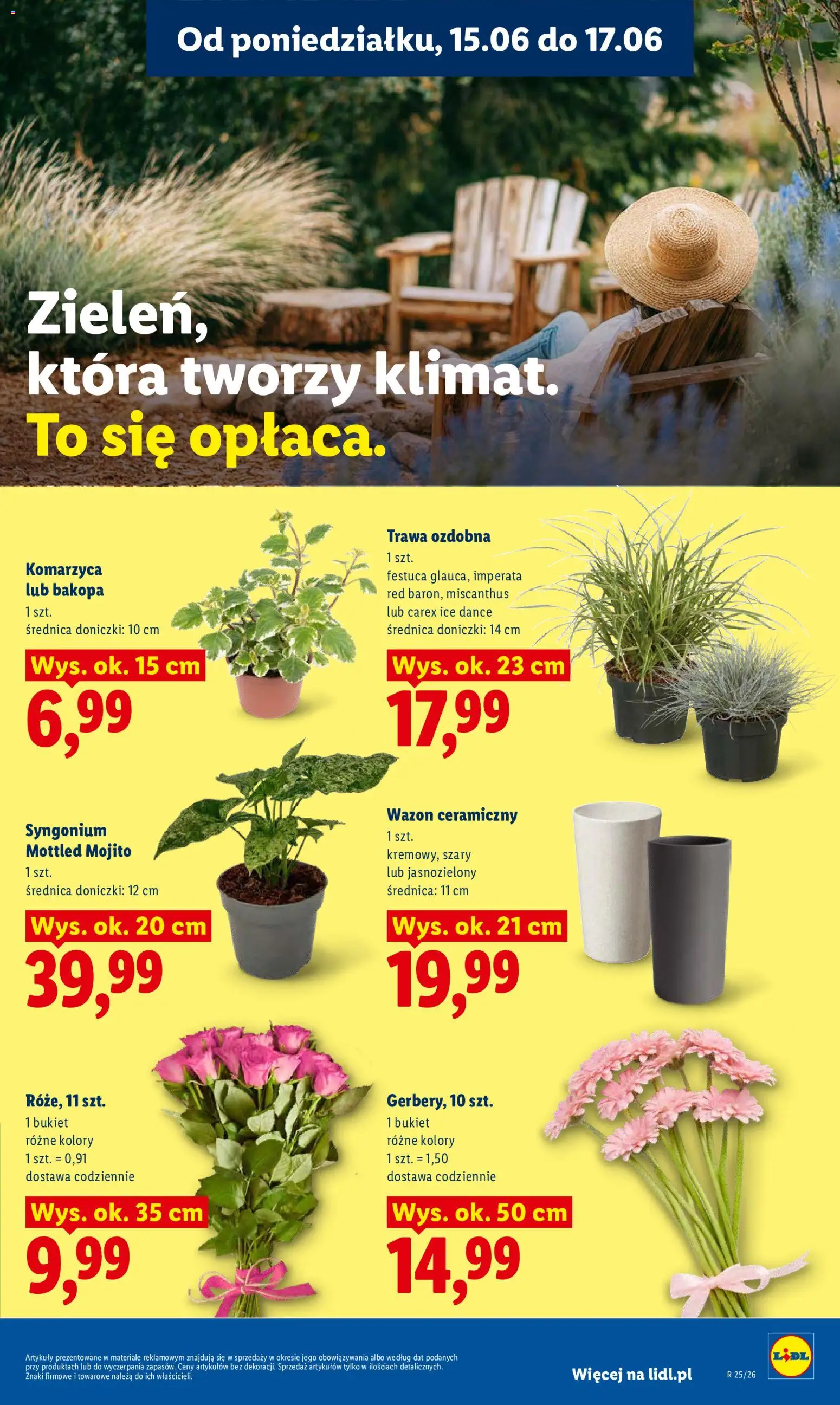 Lidl gazetka od 15.06.2026 | Strona: 97 | Produkty: Wazon, Doniczki