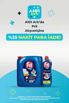 06.06.2026 tarihinden itibaren geçerli olan A101 kataloğu önizlemesi