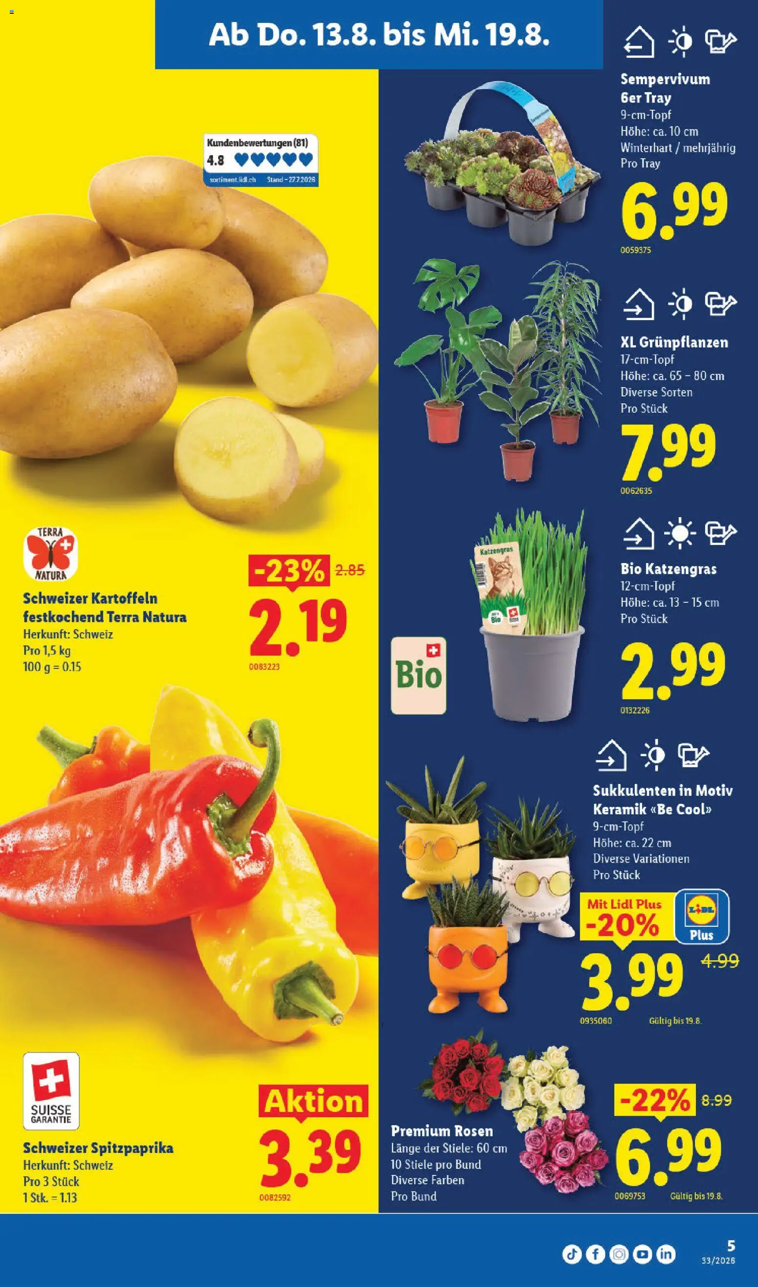 Lidl aktionen – gültig ab 13.08.2026 | Seite: 9 | Produkte: Kartoffeln