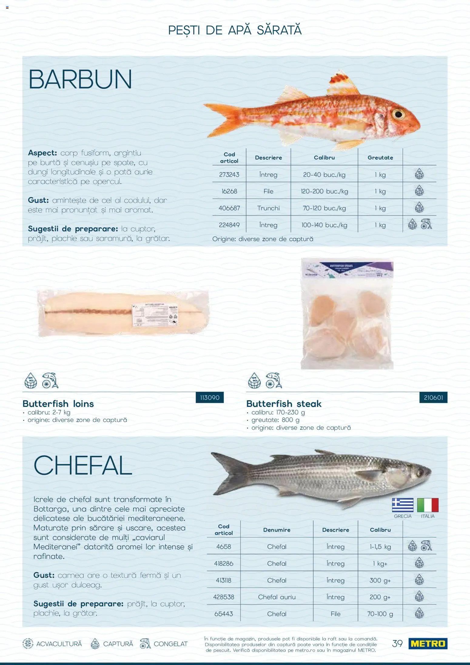 Noul catalog Metro – valabil de la 01.10.2026 | Pagină: 39 | Produse: Raft, Intense, Trunchi, Apă