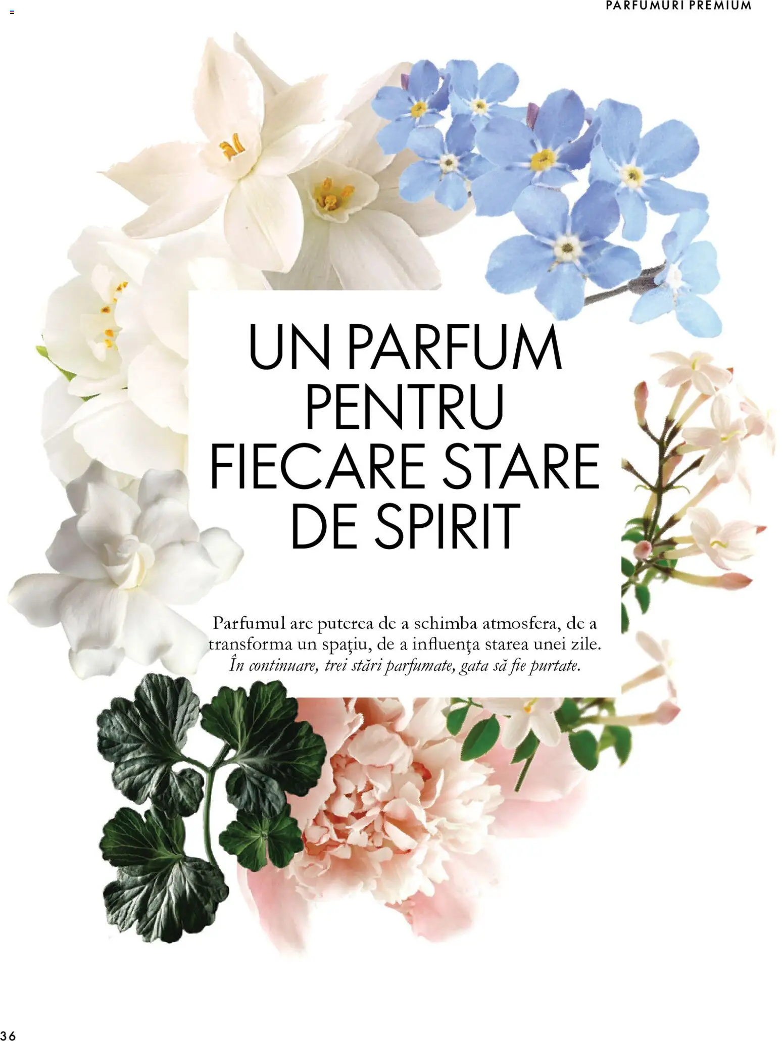 Noul catalog Oriflame – valabil de la 11.11.2026 | Pagină: 36