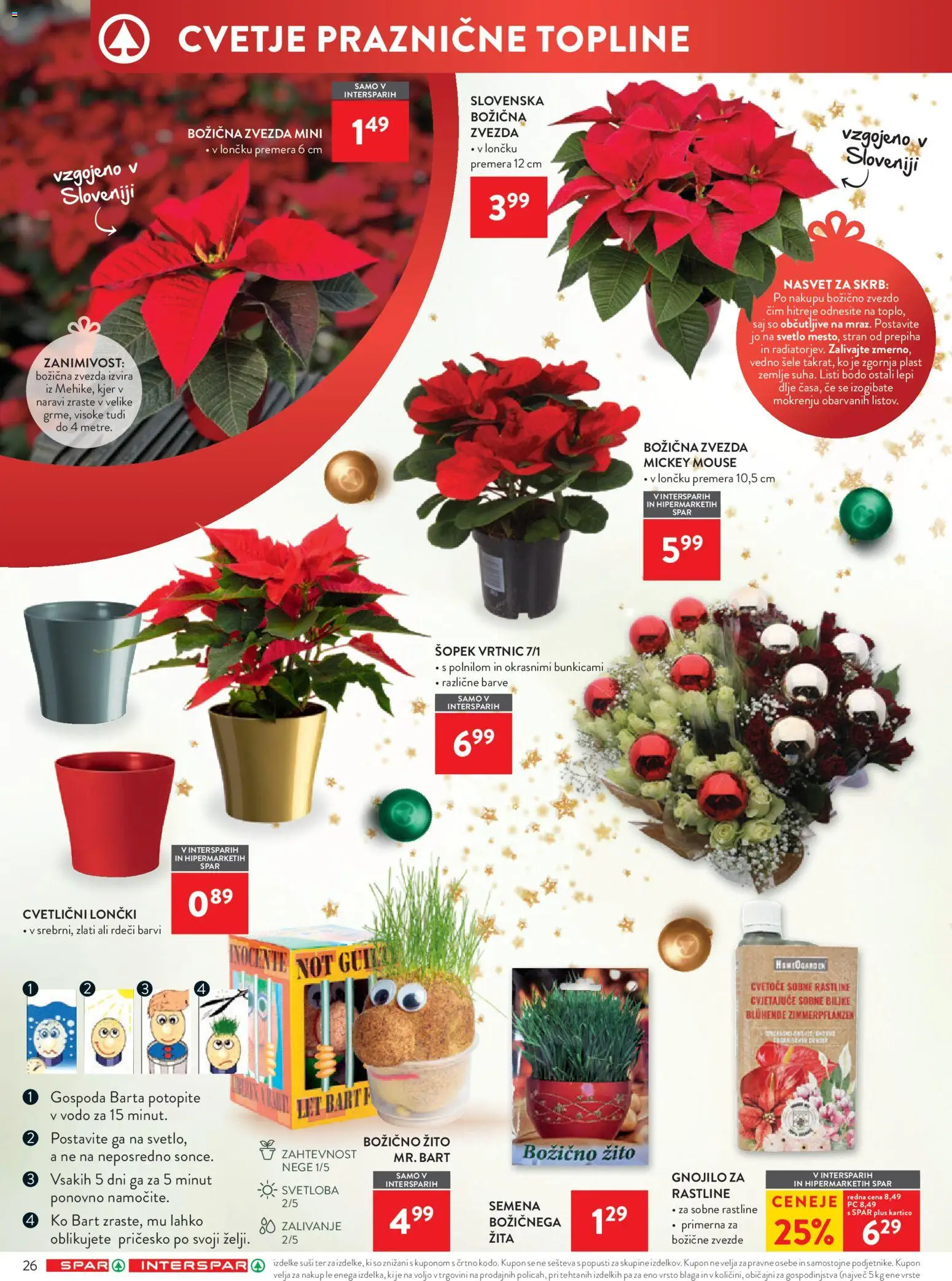 Novi Spar katalog ponudbe – veljaven od 12.11.2025 | Stran: 32 | Izdelki: Cvetje, Šopek, Suši