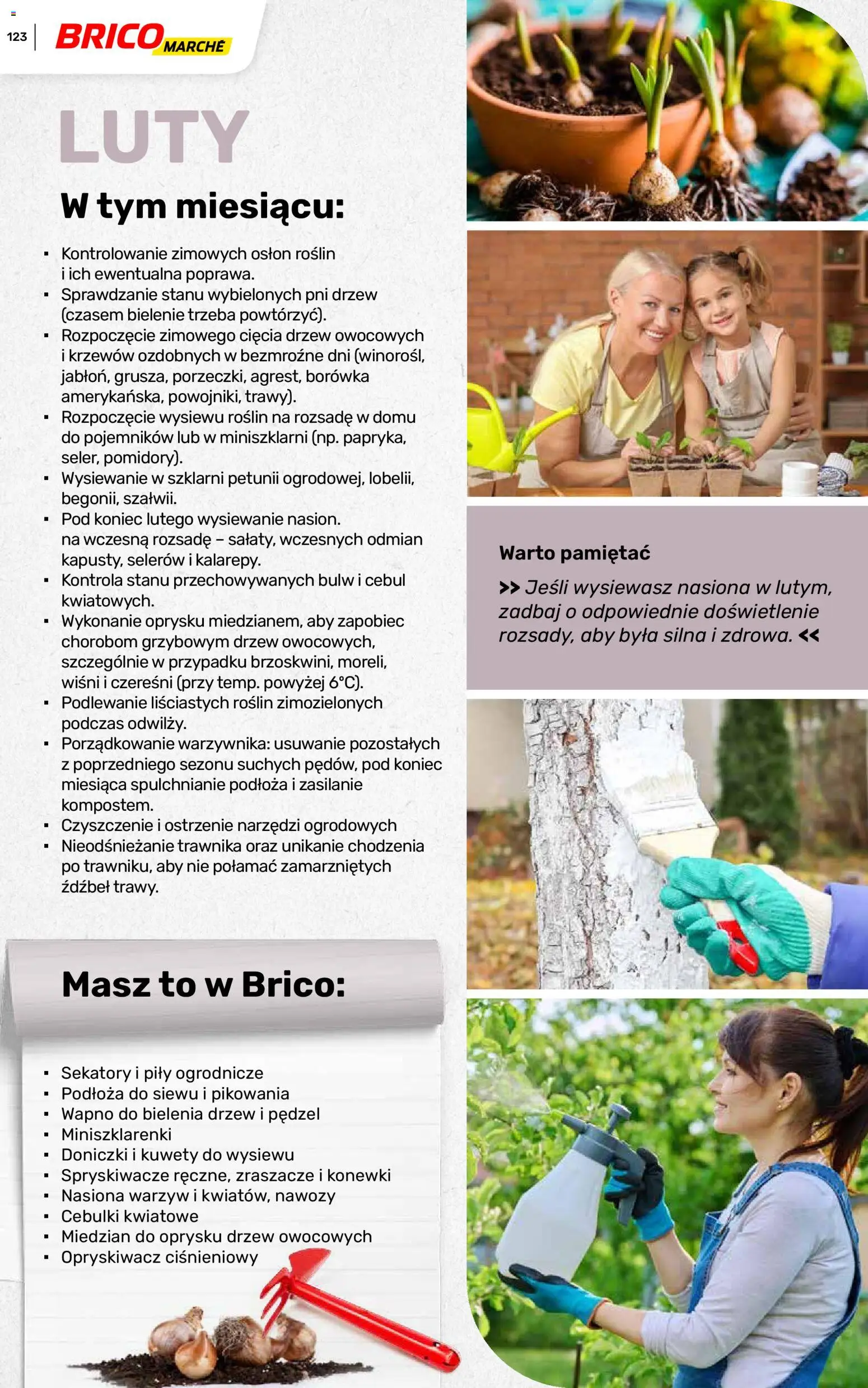 Brico Marché gazetka - Wiosna od 04.03.2026 | Strona: 123 | Produkty: Pędzel, Opryskiwacz, Nasiona, Doniczki