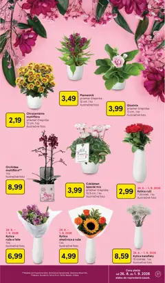 Tesco leták platný od 26.08.2026 | Strana: 27