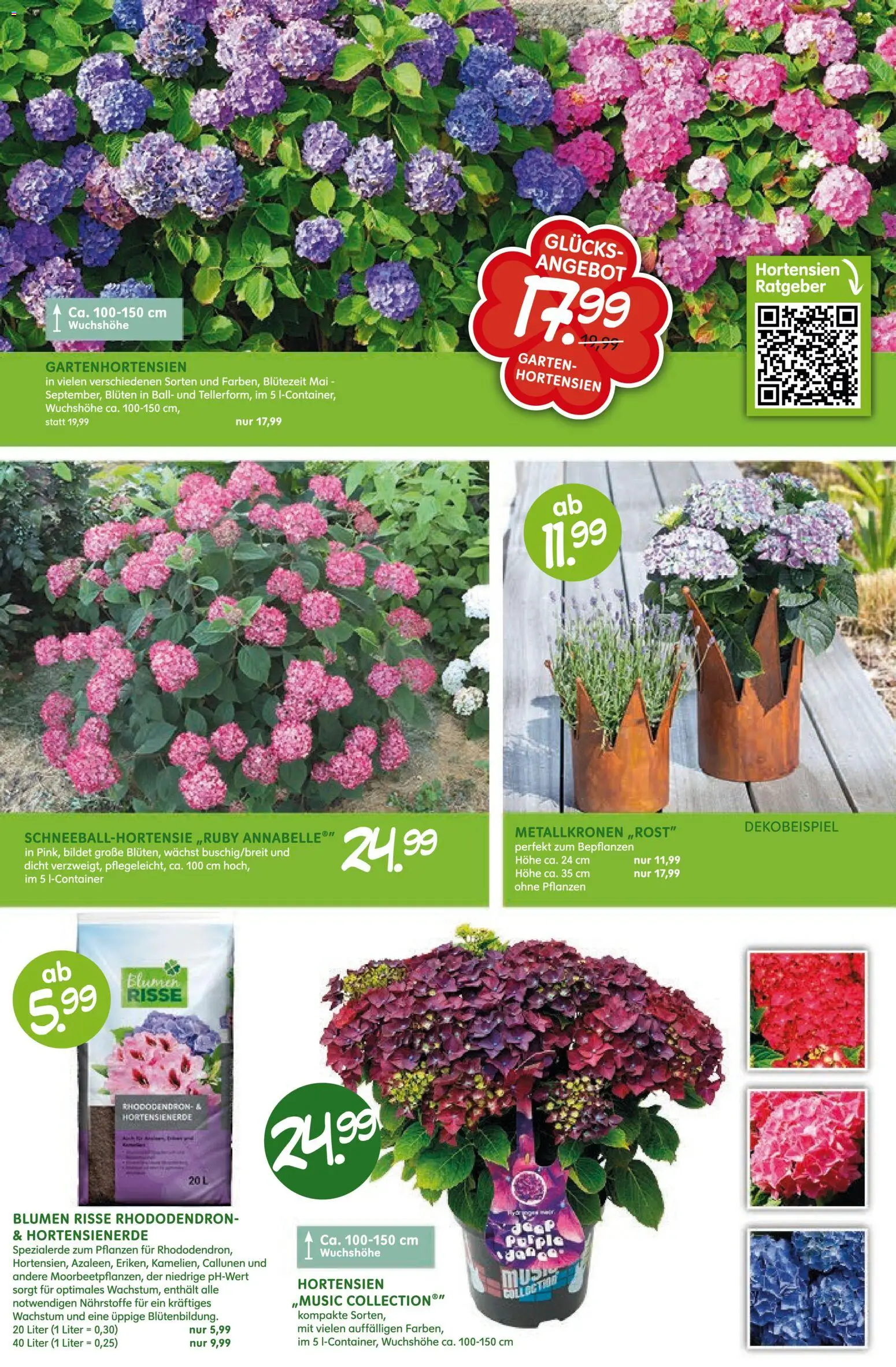 Blumen Risse Blütenglück – gültig ab 28.05.2026 | Seite: 10 | Produkte: Blumen