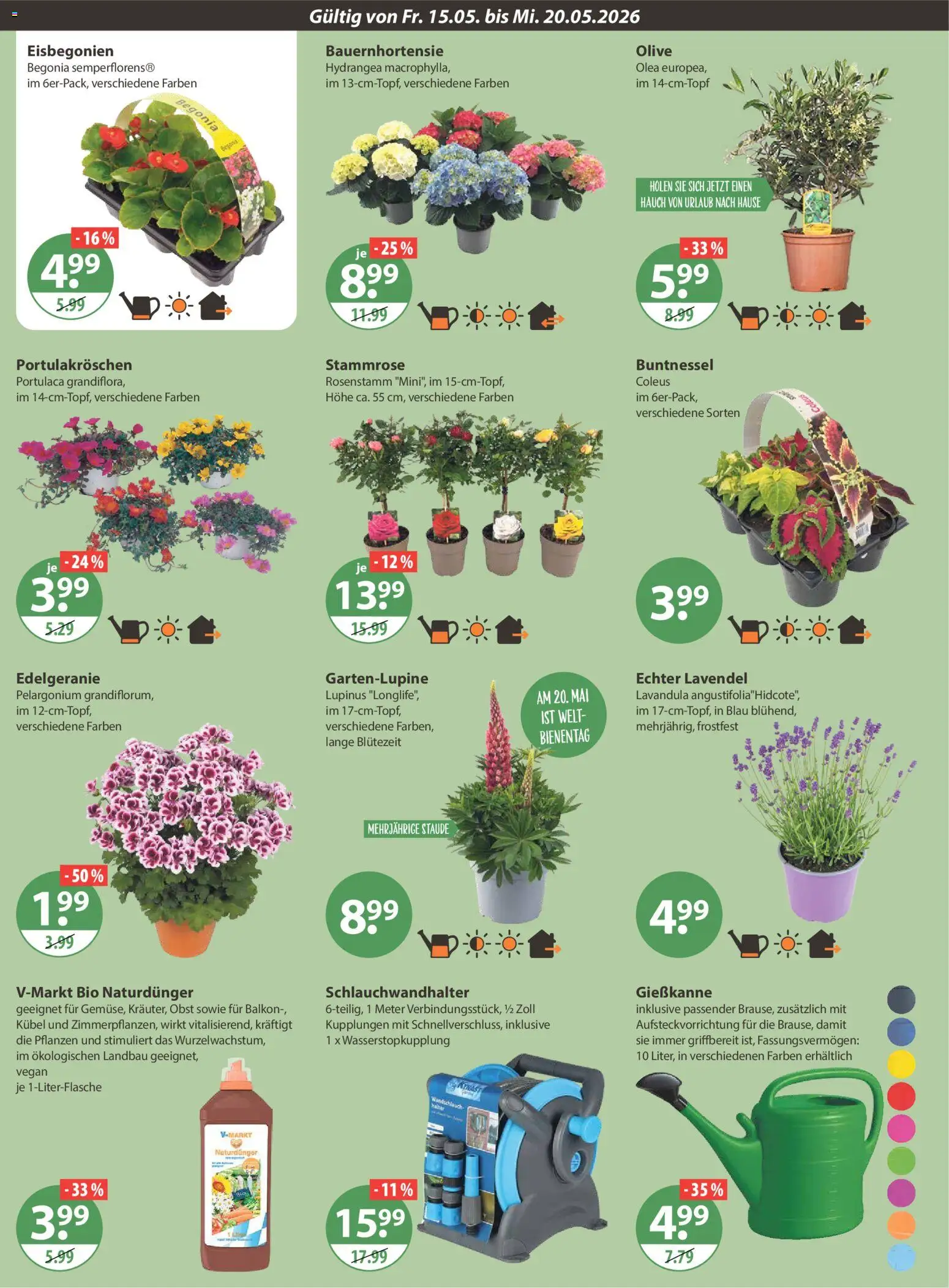 V-Markt München – gültig ab 15.05.2026 | Seite: 16 | Produkte: Obst, Lavendel