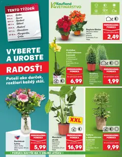 Kaufland leták platný od 04.06.2026 | Strana: 7