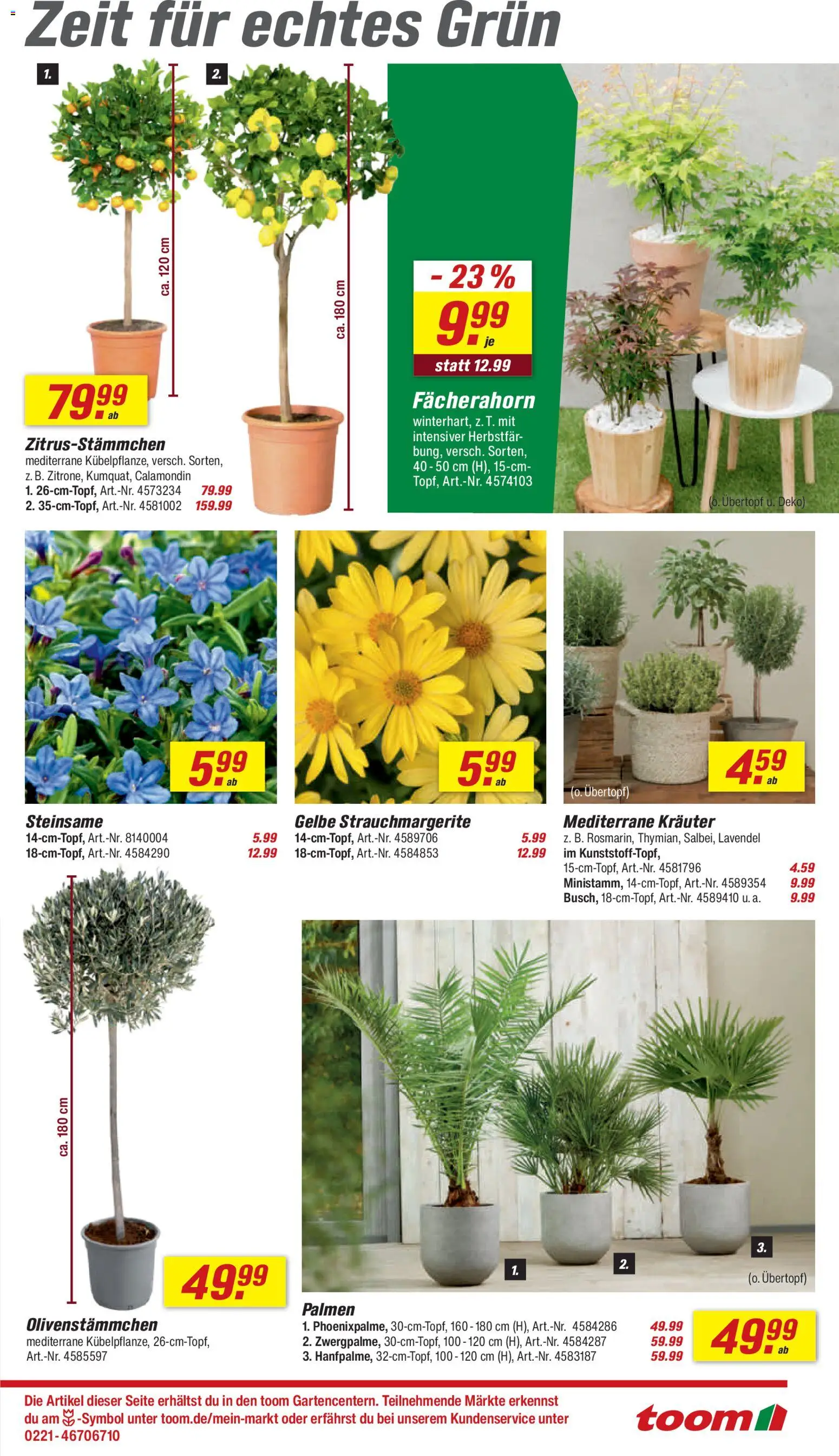 Elegantes Toom Baumarkt Backnang Produkte Fotos