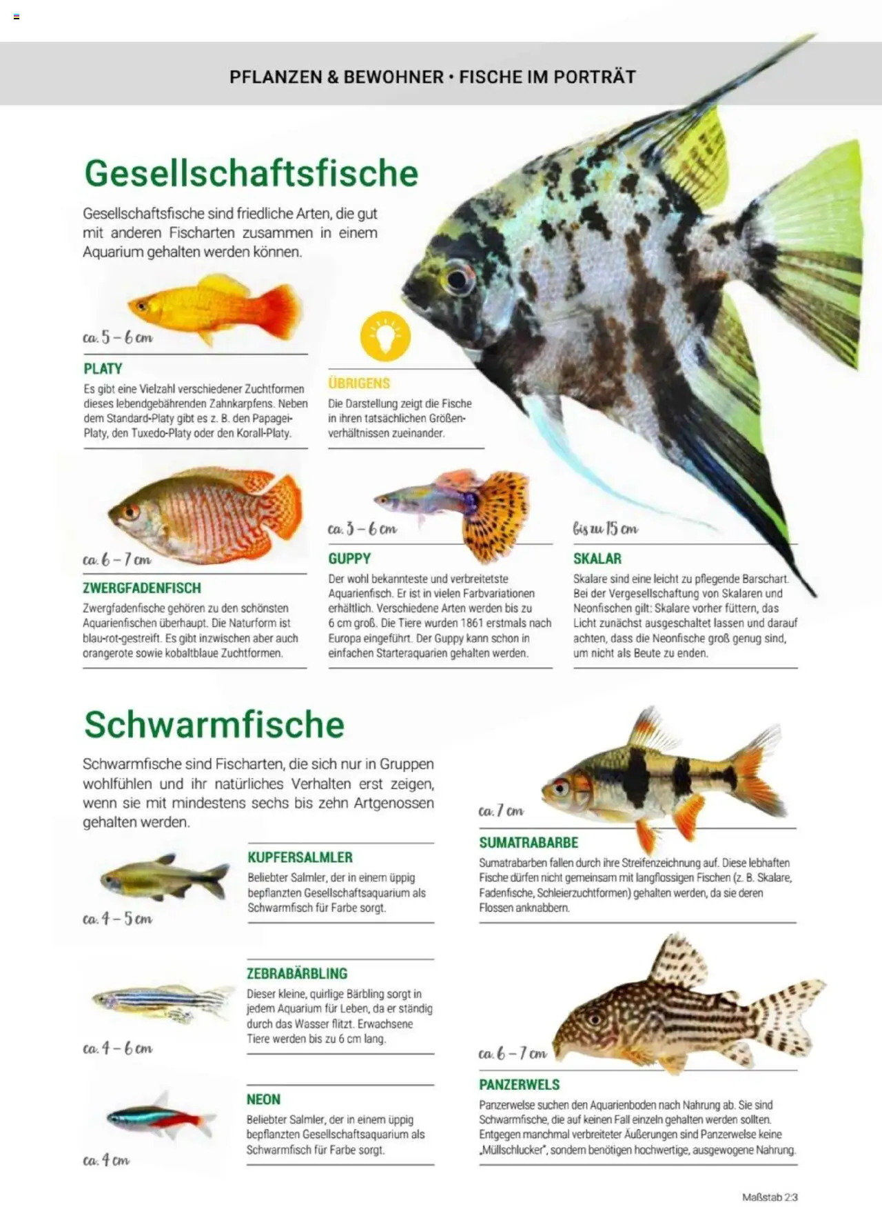 zookauf Themenkatalog Aquaristik – gültig ab 01.10.2025 | Seite: 29 | Produkte: Wasser