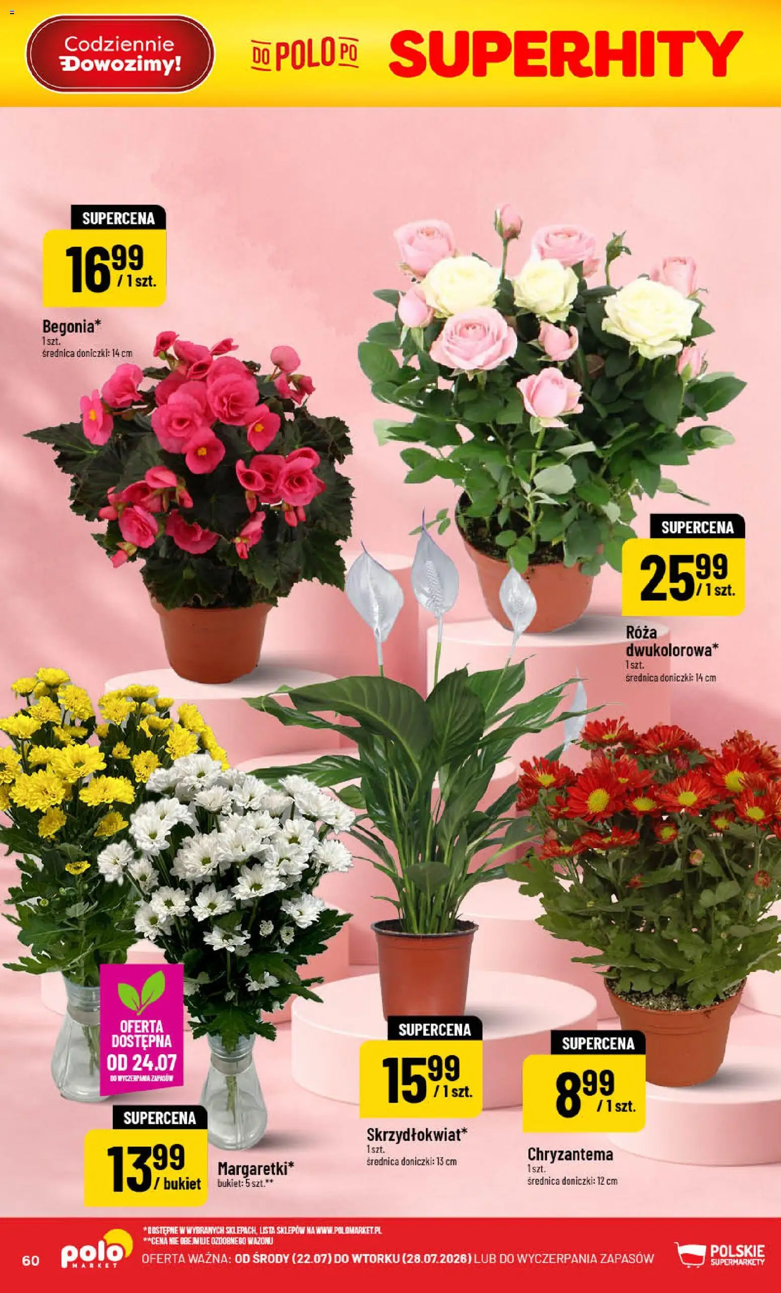 POLOmarket gazetka od 22.07.2026 | Strona: 60 | Produkty: Doniczki