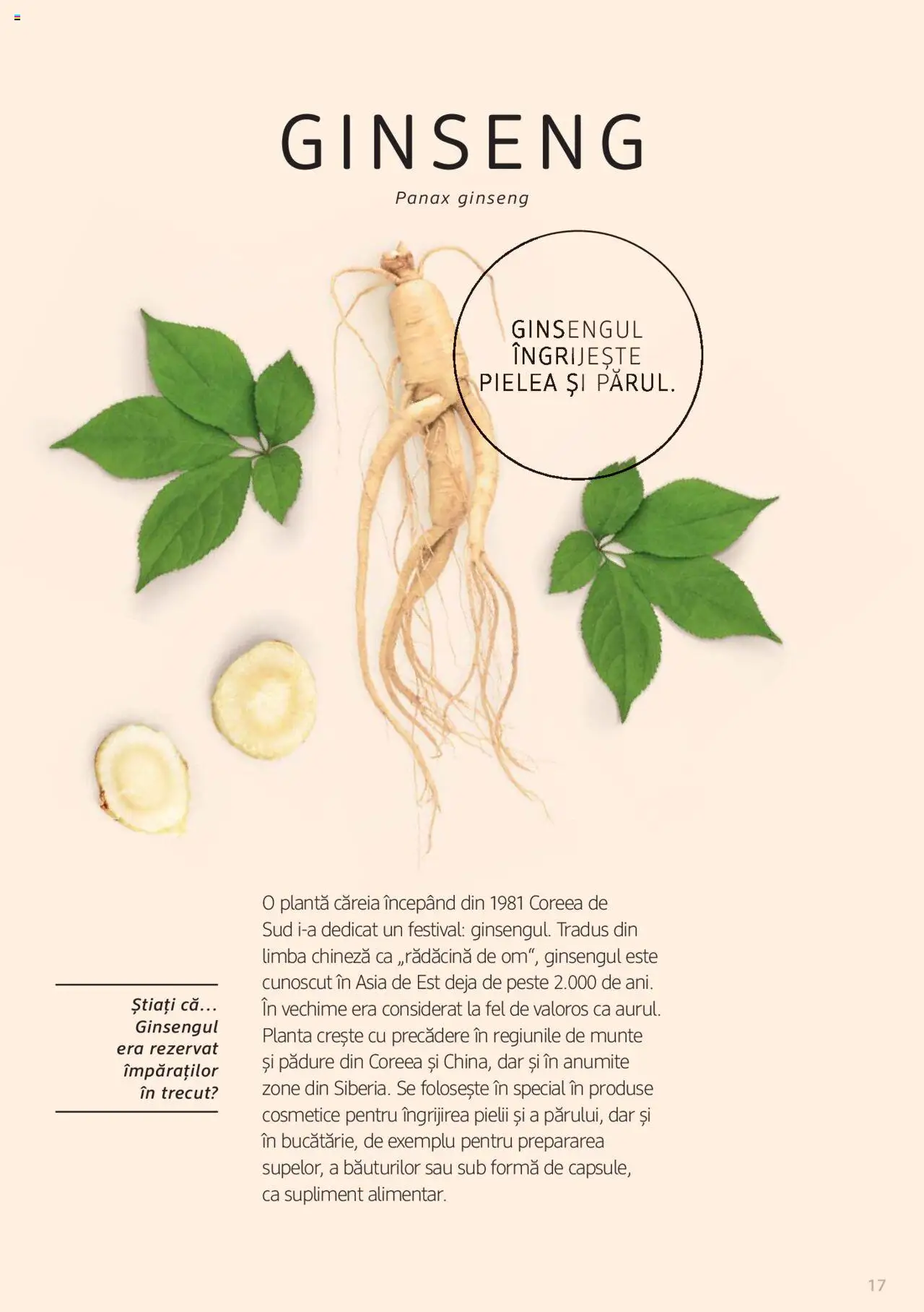 Noul catalog DM drogeriemarkt – valabil de la 01.01.2022 | Pagină: 17