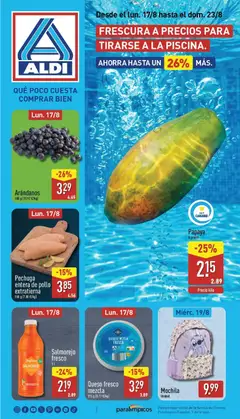 Vista previa Aldi folleto Canarias válido desde el 17/08/2026