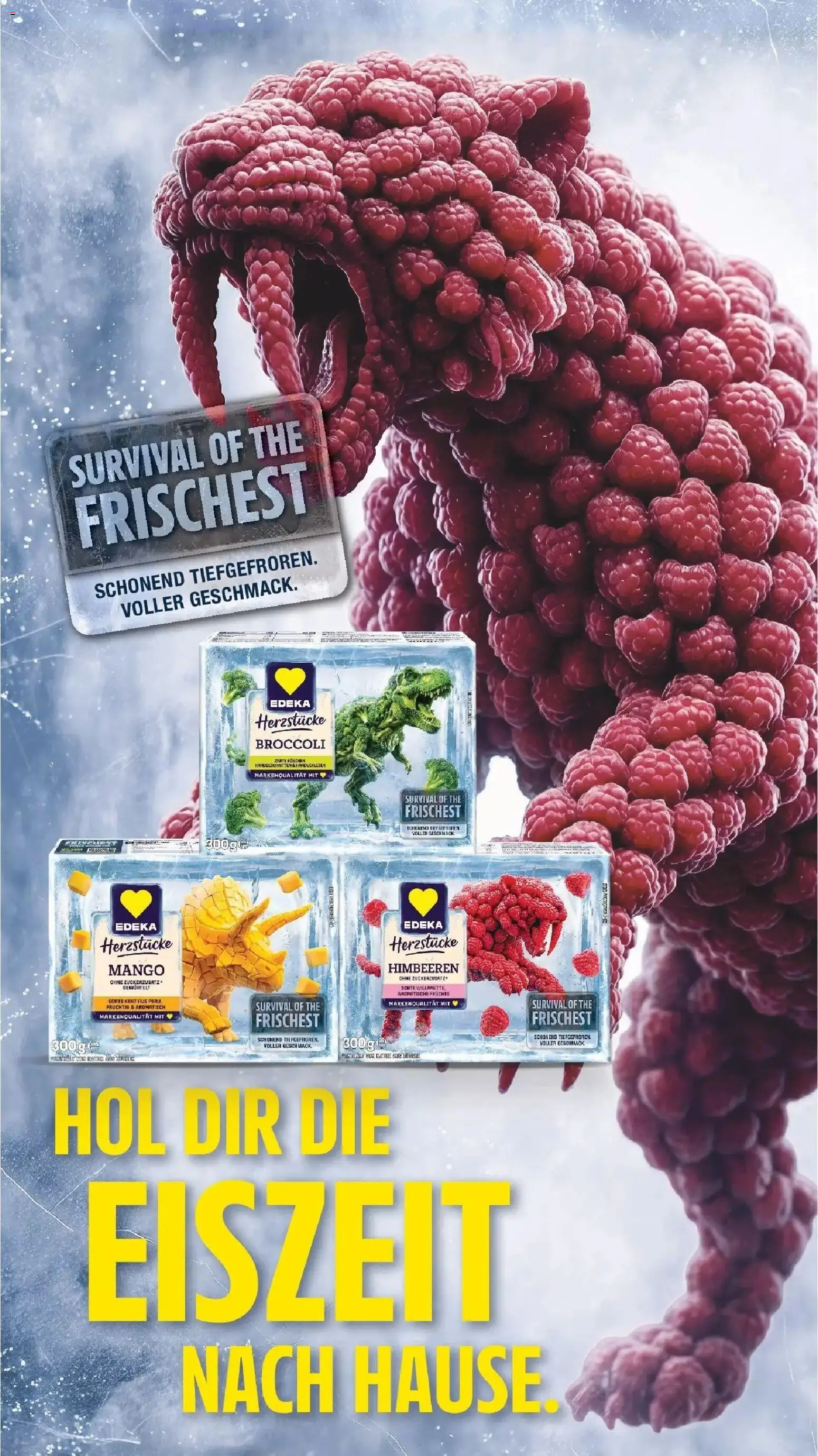 Edeka Prospekt Bad Camberg (ab 14.09.2026) » Angebote Online | Seite: 17 | Produkte: Himbeeren, Mango
