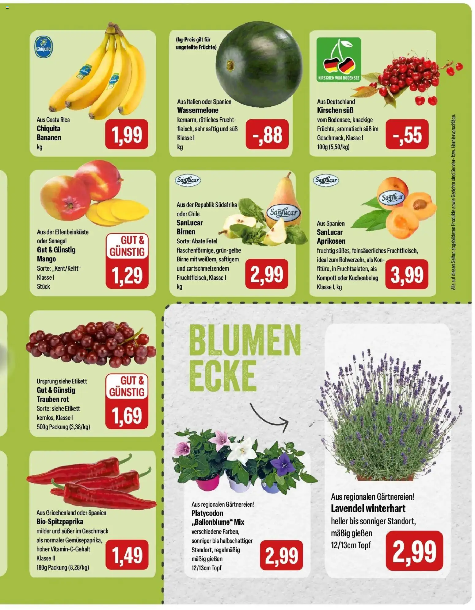 Feneberg Aktuelle Angebote – gültig ab 09.07.2026 | Seite: 9 | Produkte: Blumen, Kirschen, Wassermelone, Birne