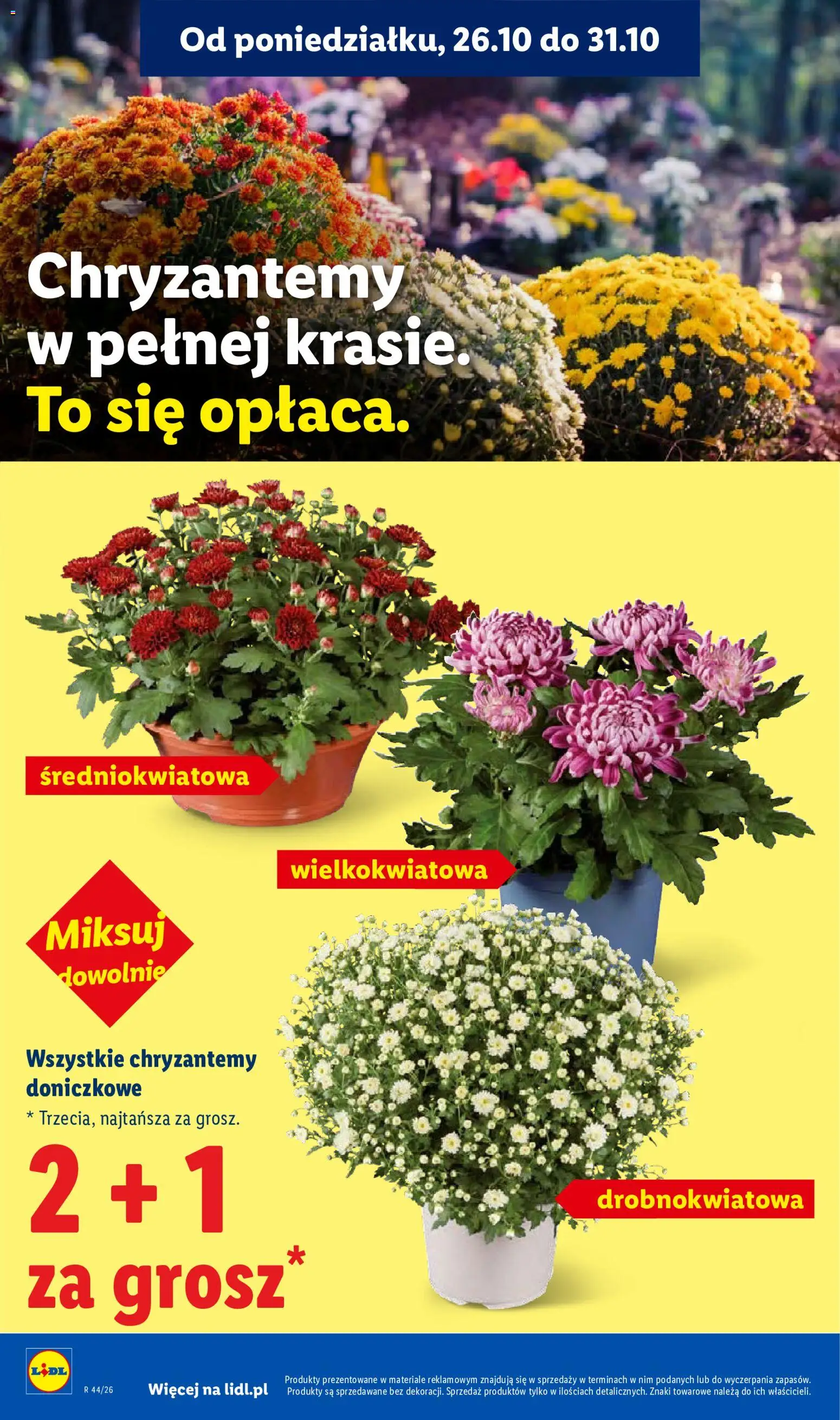 Lidl gazetka od 29.10.2026 | Strona: 4