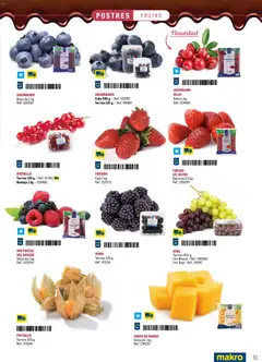 Vista previa Makro Especial Catering Prat válido desde el 16/03/2026 | Página: 55 | Productos: Fresas, Ρούτερ, Bandeja, Caja