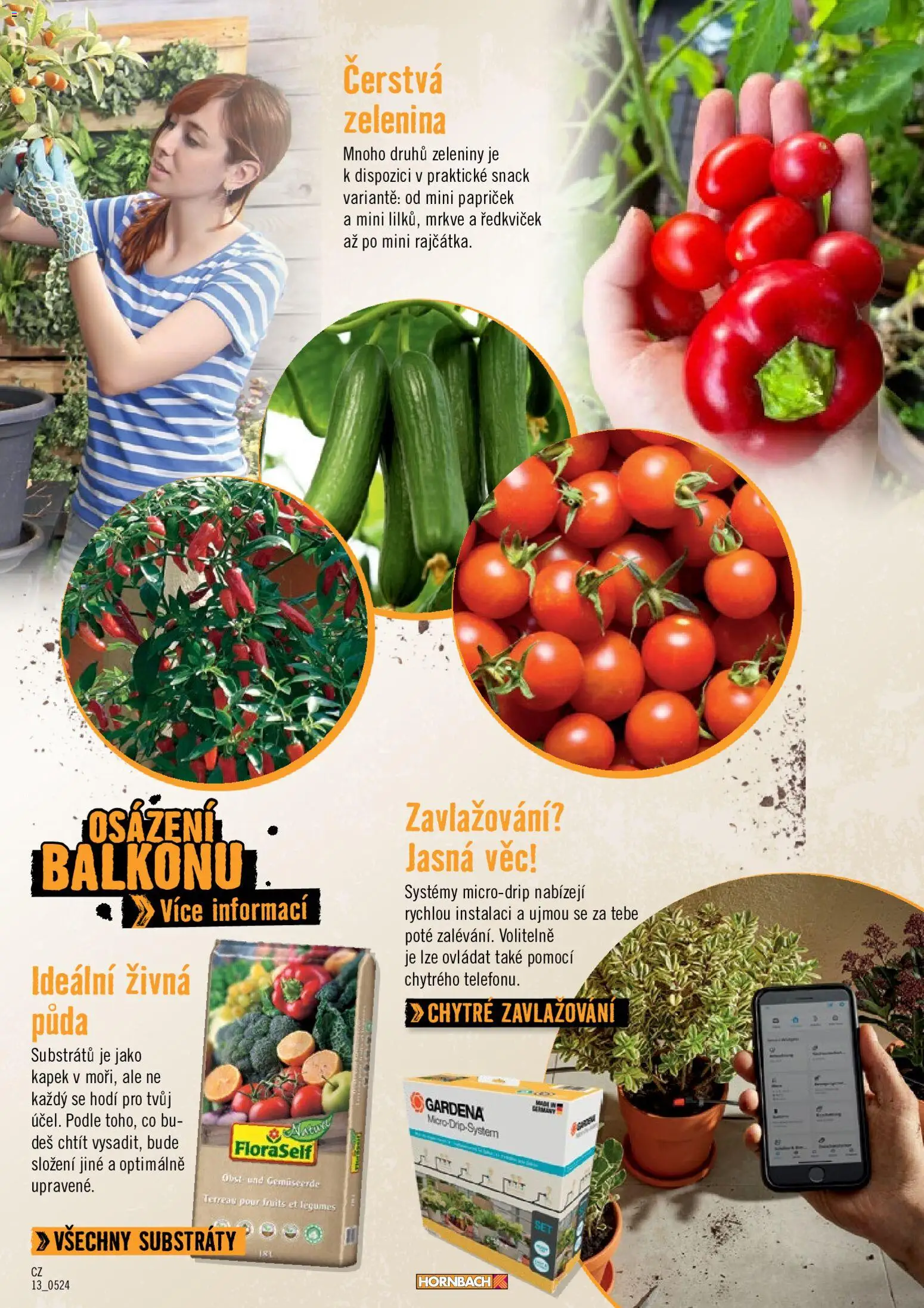 HORNBACH leták - Balkón od 01.01.2026 | Strana: 13 | Produkty: Zelenina