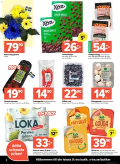 Coop X:-TRA erbjudanden - Förhandsvisning av reklamblad från butik Coop X:-TRA aktuell från 01.06.2026 | Sida: 2 | Produkter: Loka, Galler, Hushållsost, Blåbär