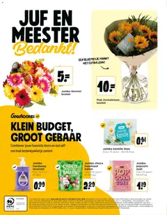 JUMBO folder / publicité - Voorbeeld van een folder van JUMBO, geldig van 24/06/2026 | Pagina: 18