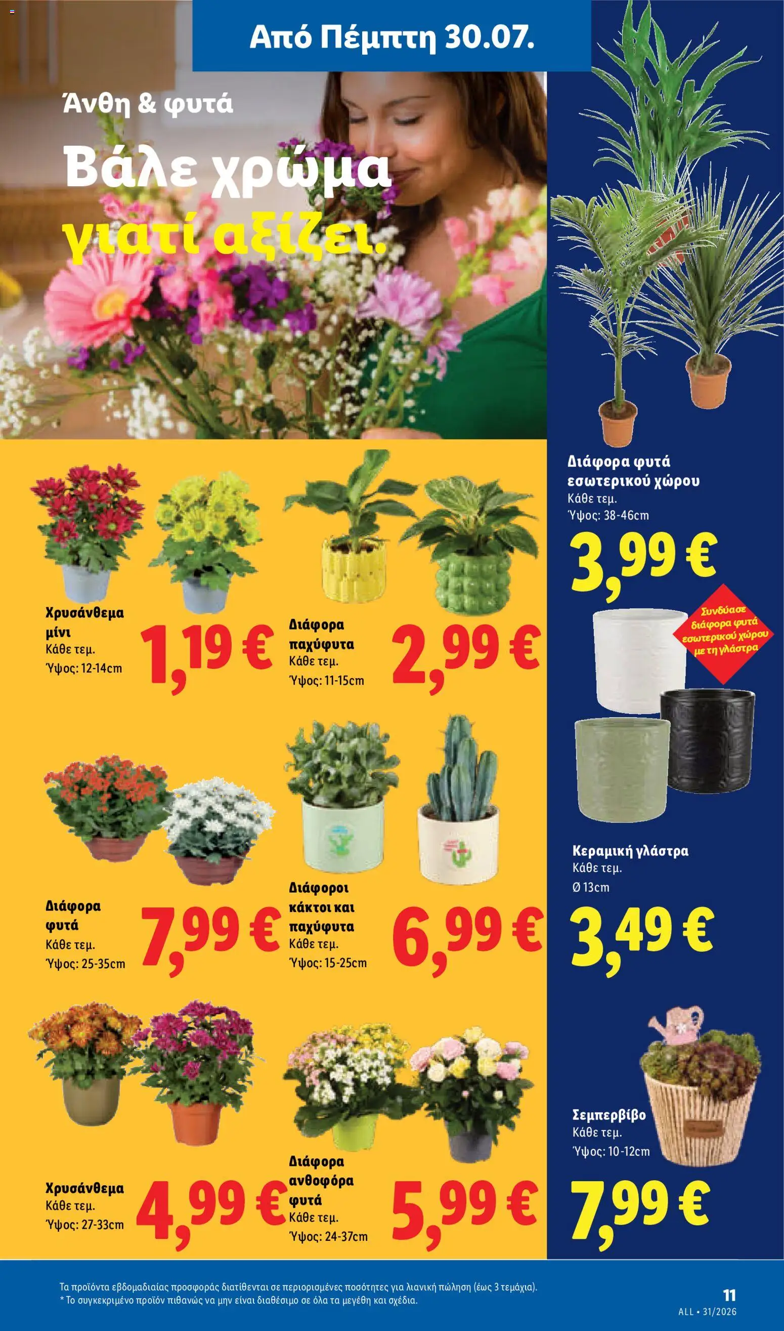 Lidl Φυλλάδιο - σε ισχύ από 30/07/2026 | Σελίδα: 41 | Προϊόντα: Γλάστρα