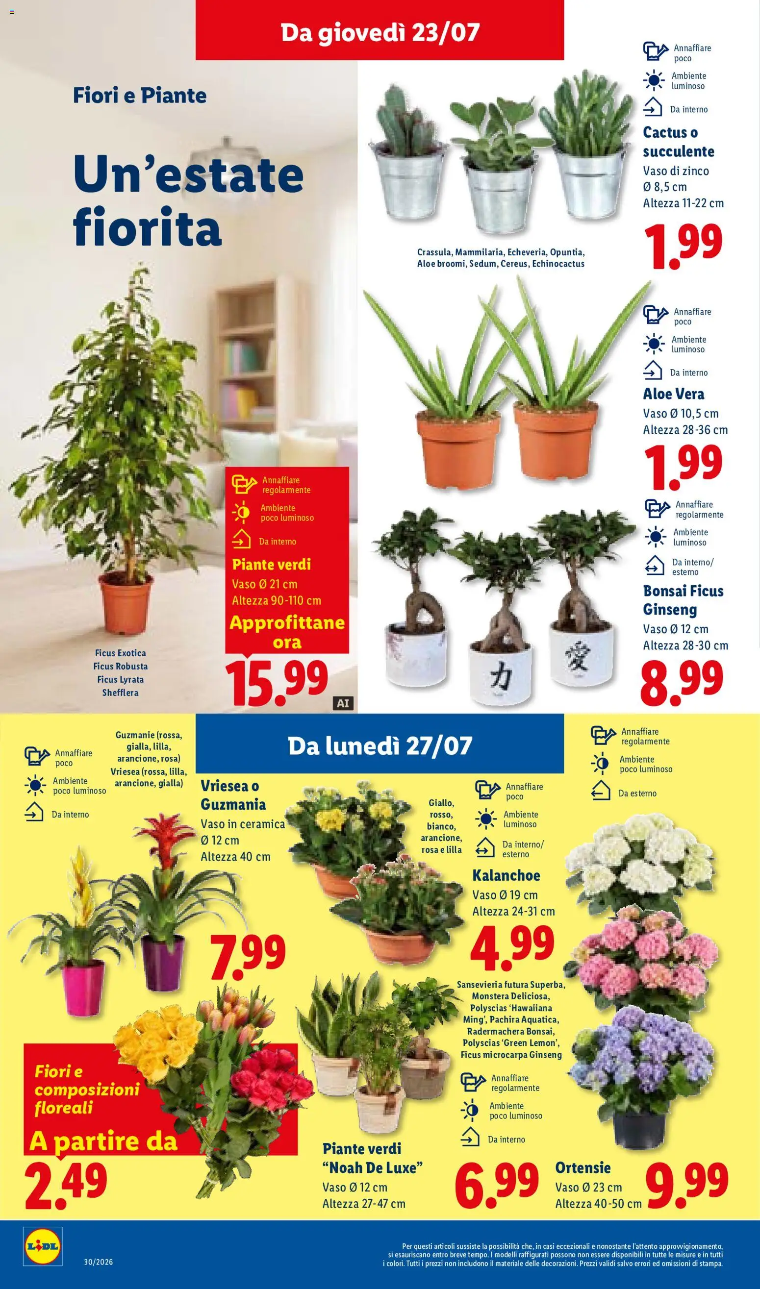 Volantino Lidl del 23/07/2026 | Pagina: 34 | Prodotti: Fiori, Cactus, Aloe vera, Vaso