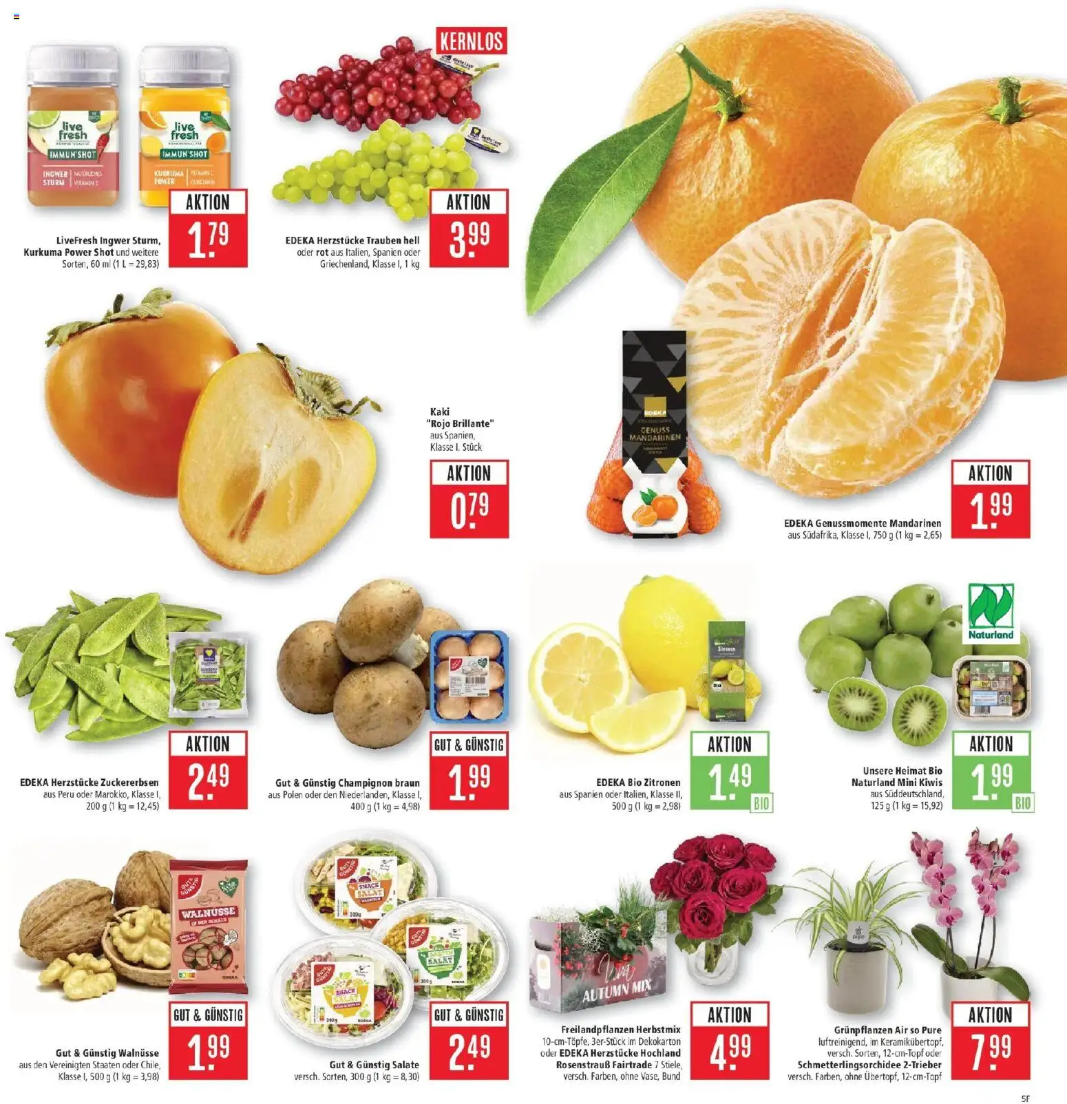 Marktkauf Prospekt Friedrichshafen (ab 12.10.2026) » Angebote online | Seite: 5 | Produkte: Trauben, Mandarinen, Salat, Zitronen