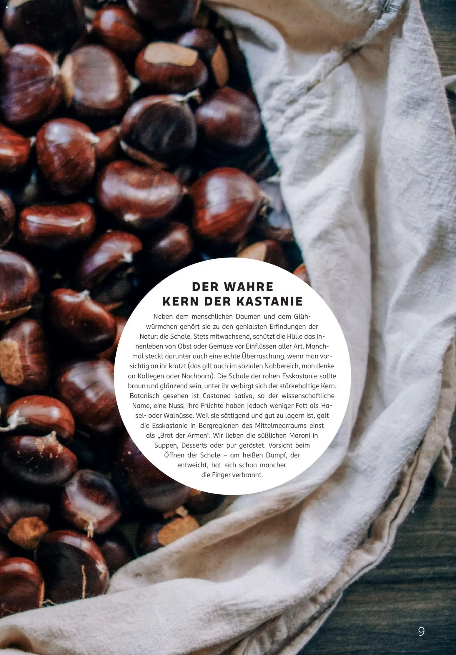 Rossmann Centaur – gültig ab 01.10.2026 | Seite: 9 | Produkte: Hülle, Gemüse, Obst