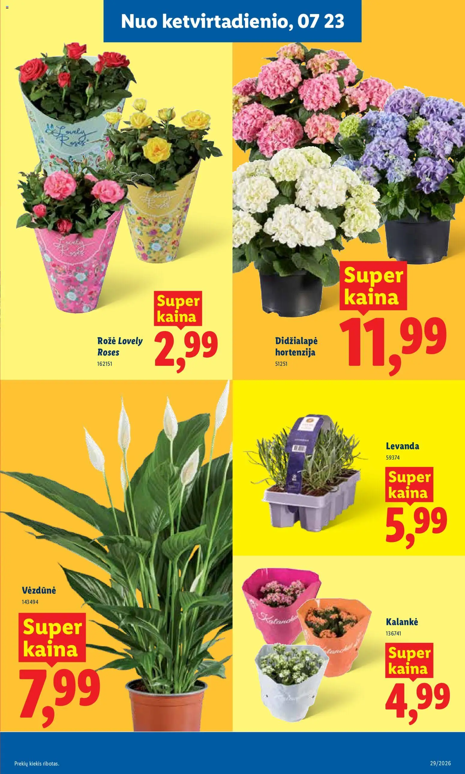 LIDL akcijos nuo 2026.07.20 | Puslapis: 11 | Prekių: Kiaulienos, Kumpis, Kiauliena, Jautiena