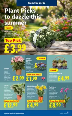 Preview of Weekly offers Lidl valid from 23/07/2026 | Page: 21