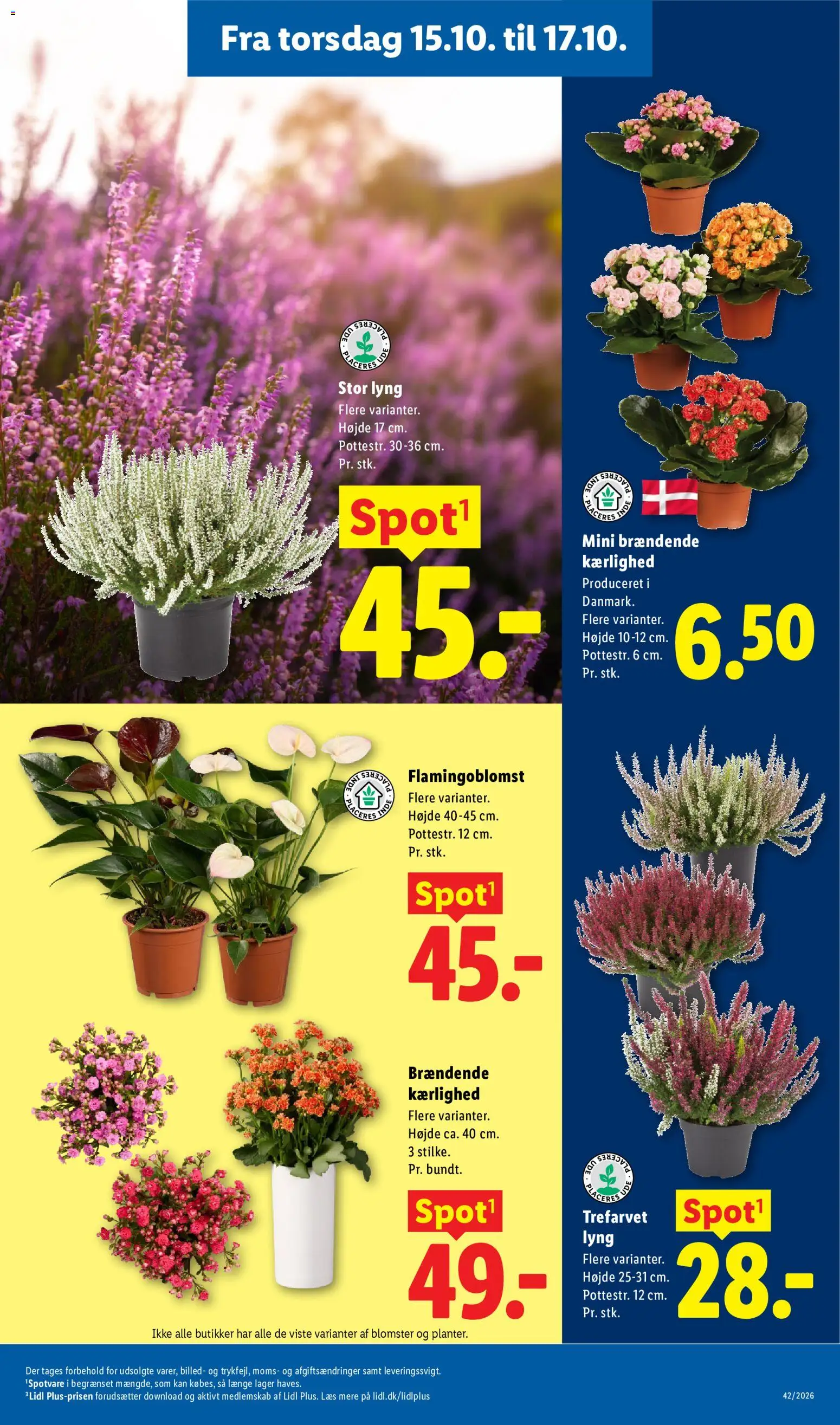 Lidl tilbudsavis – gyldig fra 11/10/2026 | Side: 35 | Produkter: Søm