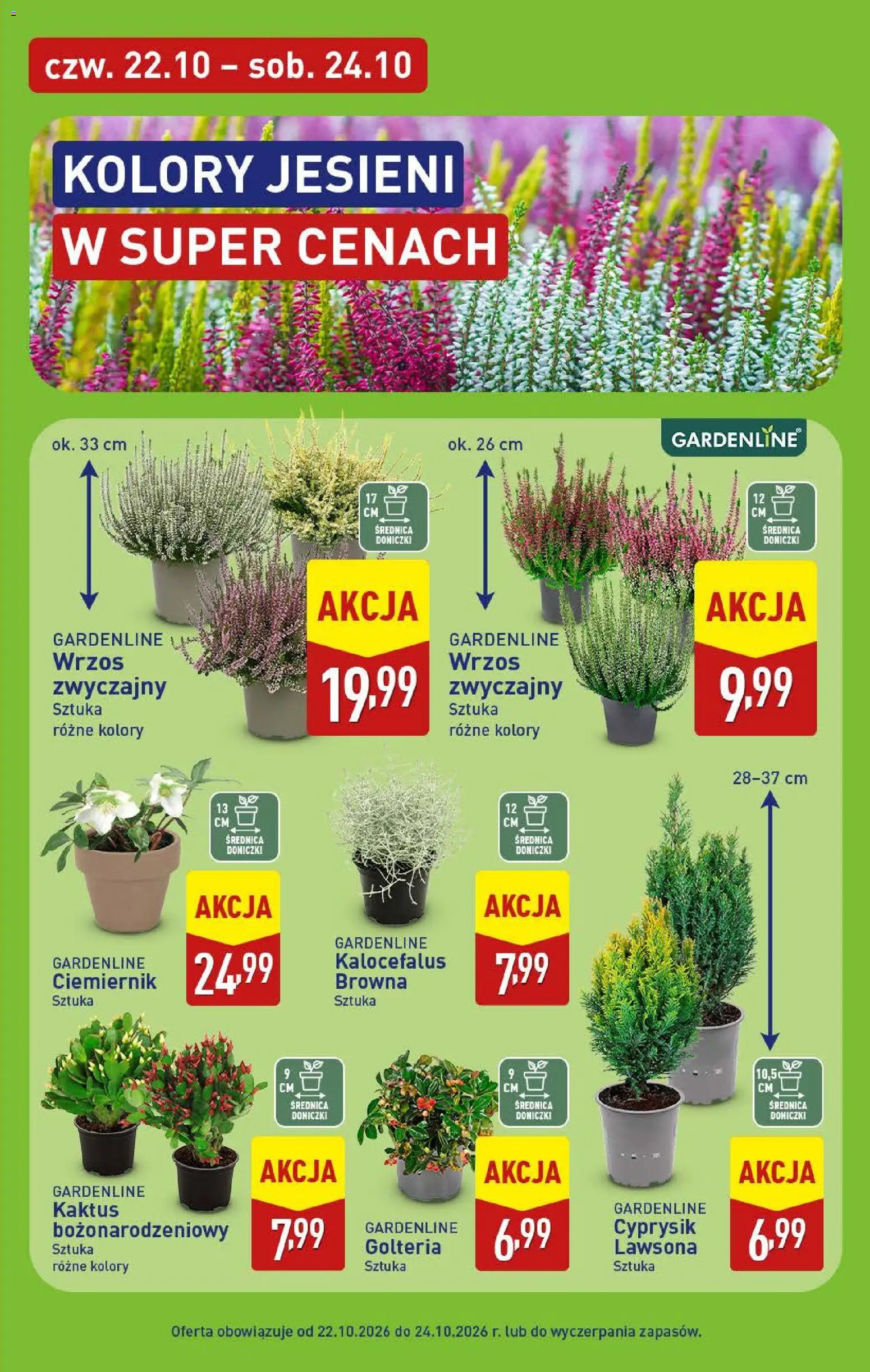 Aldi gazetka od 19.10.2026 | Strona: 45