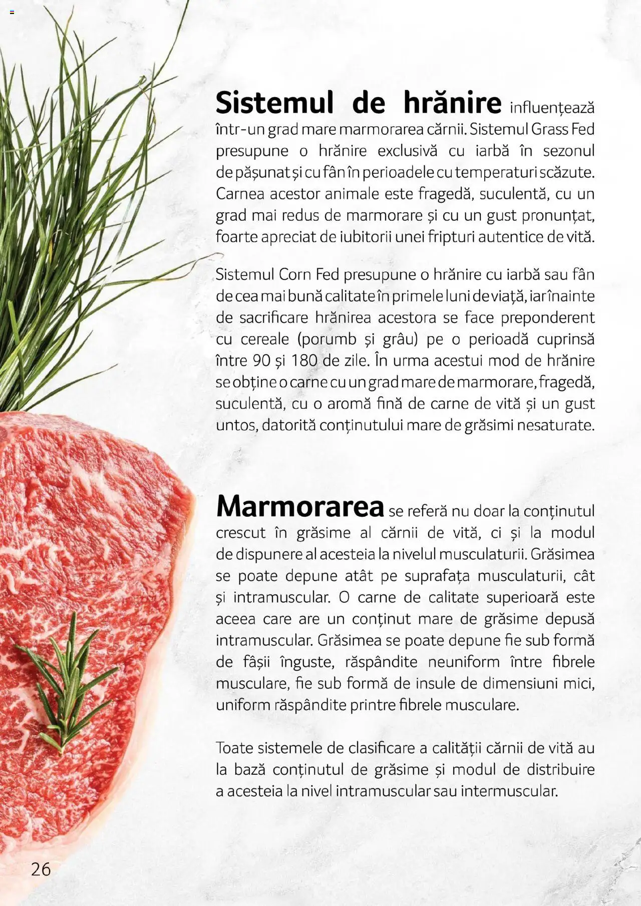 Noul catalog Selgros – valabil de la 27.04.2023 | Pagină: 26 | Produse: Scară, Carne De Vită, Cereale, Porumb