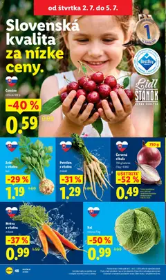 Lidl leták platný od 29.06.2026 | Strana: 60