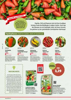 Bauhaus Reiche Ernte ab 25.05.2026 gültig | Seite: 22 | Produkte: Gemüse, Chili, Tomaten