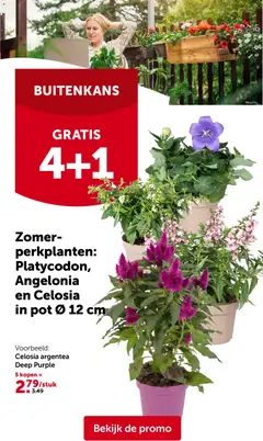 Aveve folder - Voorbeeld van een folder van Aveve, geldig van 03.06.2026 | Pagina: 24