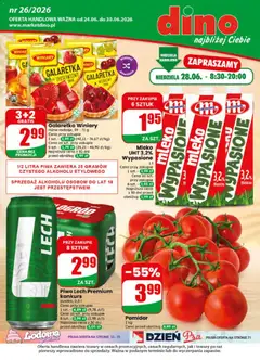 Pogląd oferty "Dino gazetka" - ważna od 24.06.2026