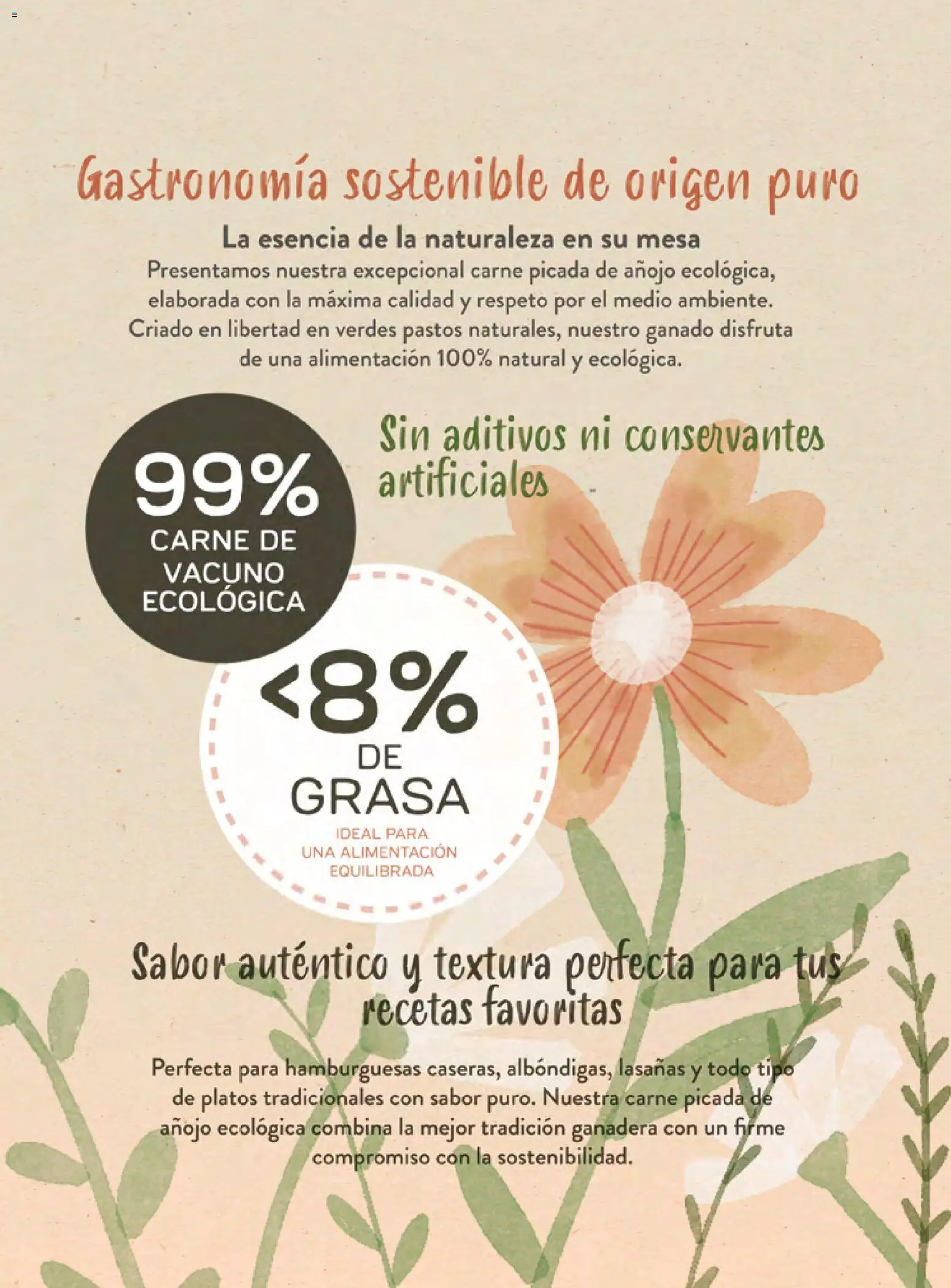 Costco catálogo │ válido desde el 19.03.2026 | Página: 75 | Productos: Mesa