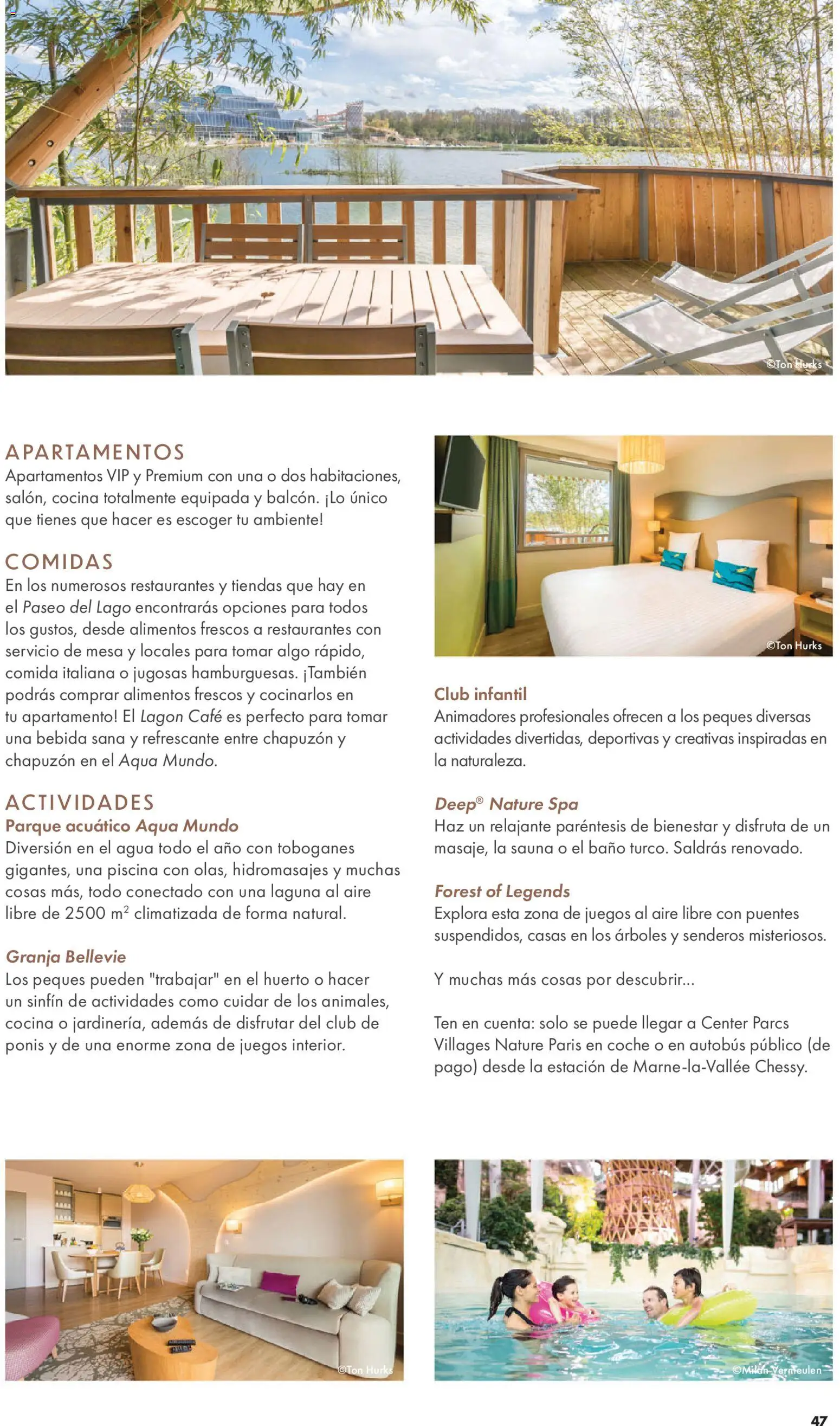 Viajes El Corte Inglés Folleto Disneyland Paris │ válido desde el 31/03/2026 | Página: 49 | Productos: Café, Cocina, Alimentos, Baño