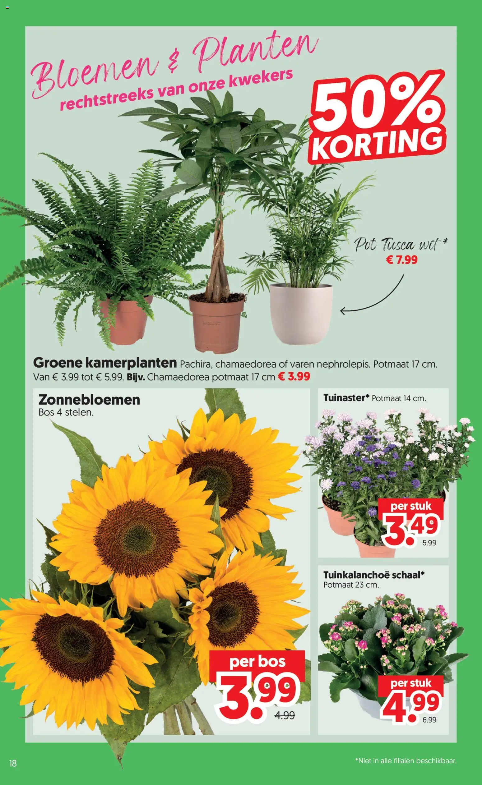 {H1} | Pagina: 20 | Producten: Pot, Bloemen, Kamerplanten