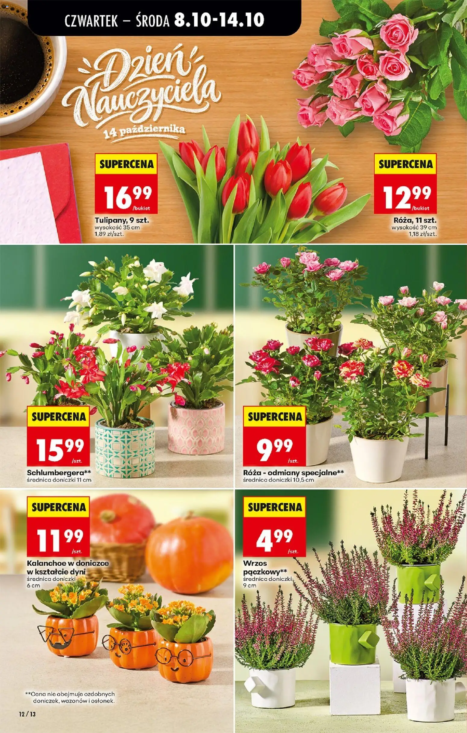 Biedronka gazetka od czwartku od 08.10.2026 | Strona: 16 | Produkty: Wrzos, Doniczki, Kalanchoe